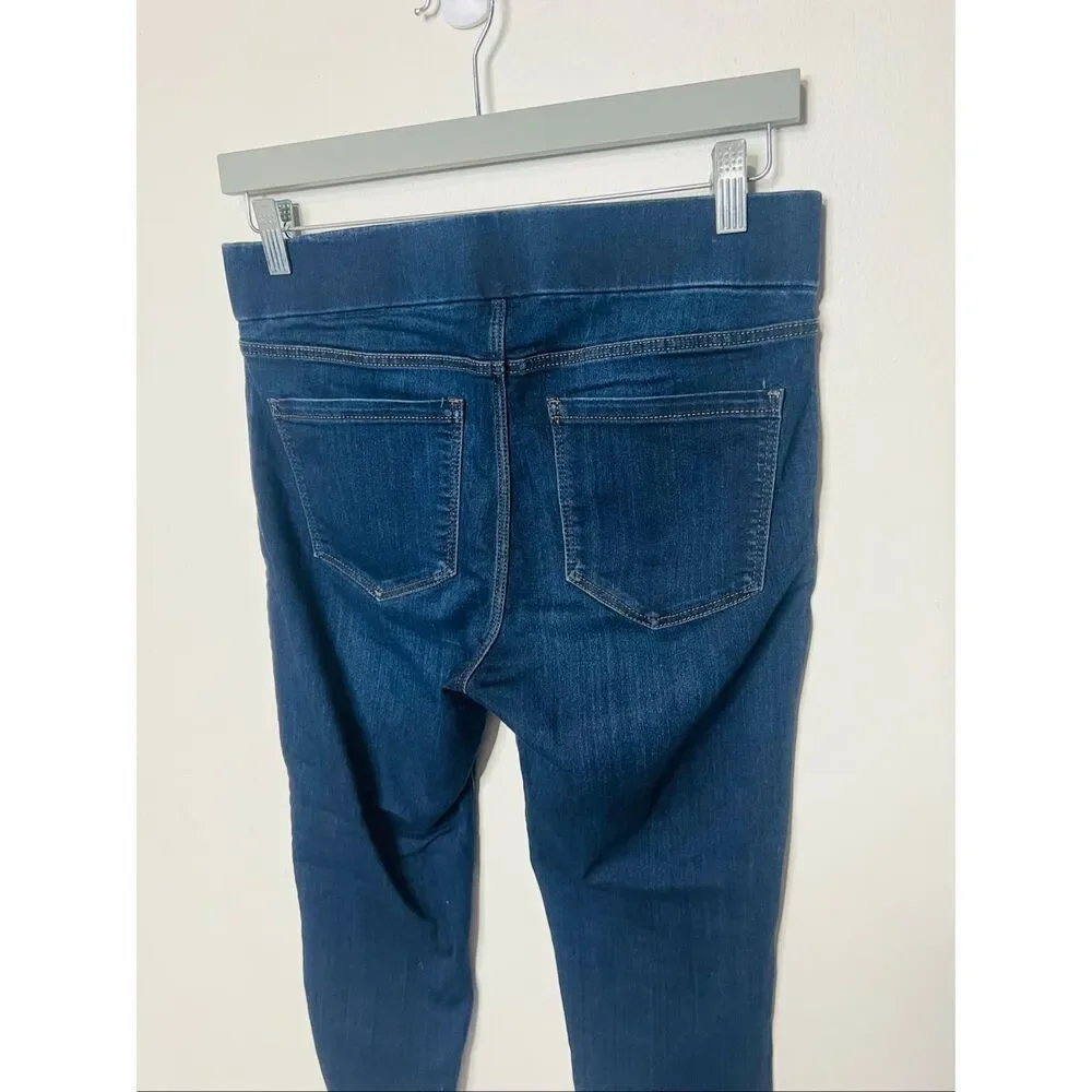 Liverpool Stretch Pull-on Jeggings Sz 8/29 Petite Dunmore Dark